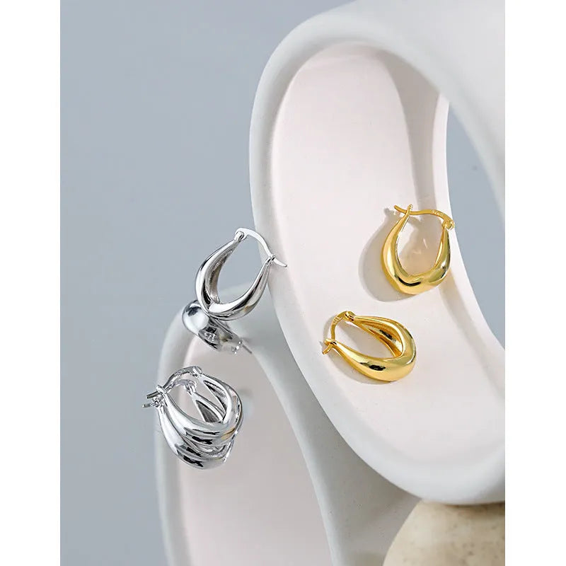 Vv- Heritage and Honor Collection: Radiant Freedom S925 Sterling Silver Earrings - Embrace Opportunity's Gleam - vannveld