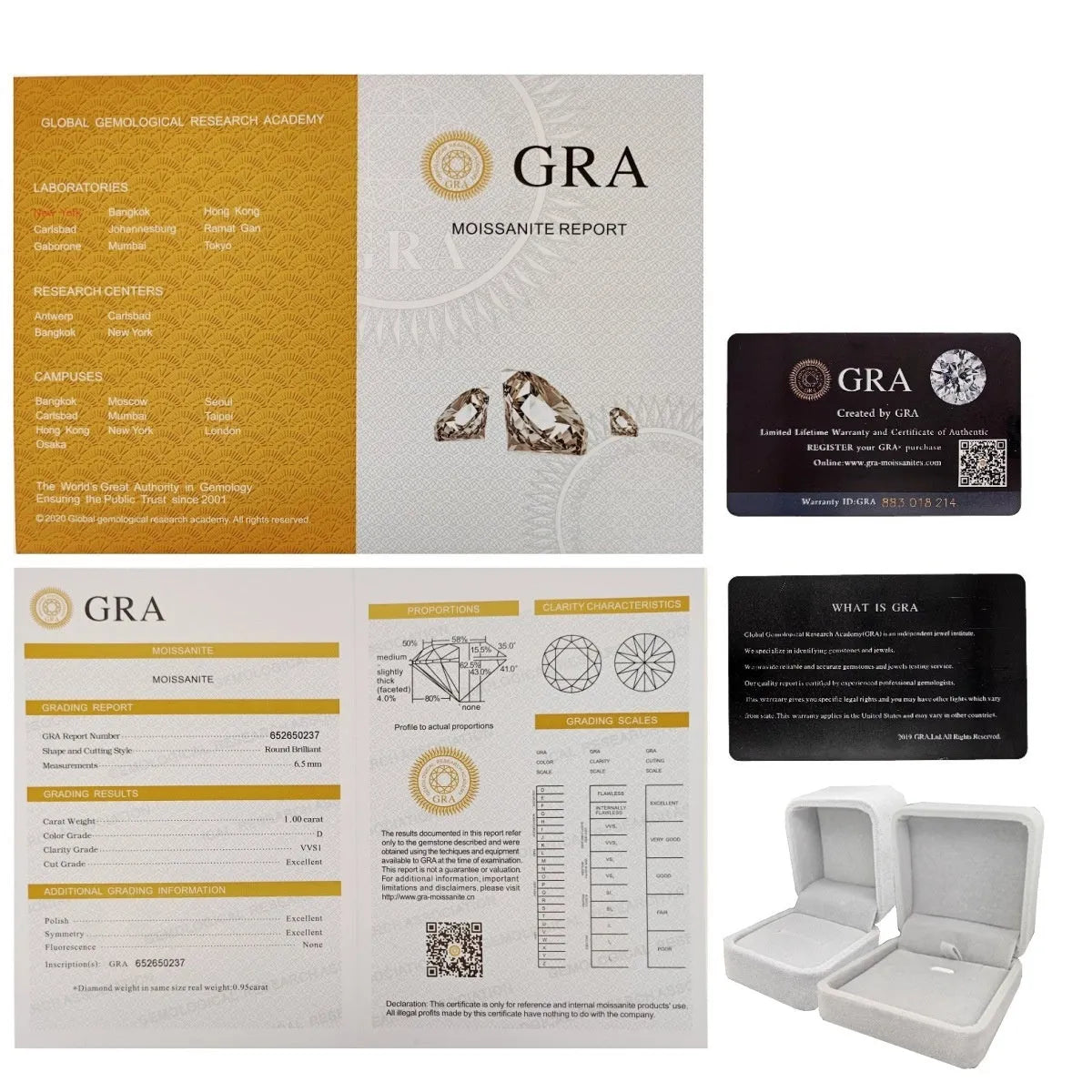 Vv- Immigration to the United States in 1800s: European Dreams Forge American Destiny Through Hope and Sacrifice - vannveld